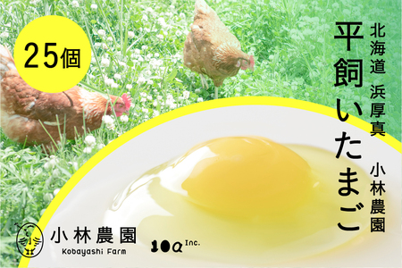 平飼い有精卵 25個【常温便】たまご 卵 鶏卵 玉子 生卵 平飼い 北海道 [AXAN119]