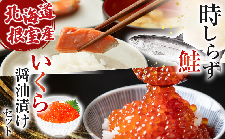 【北海道根室産】時しらず鮭1.5kg×1P・いくら醤油漬け80g×6P D-42067