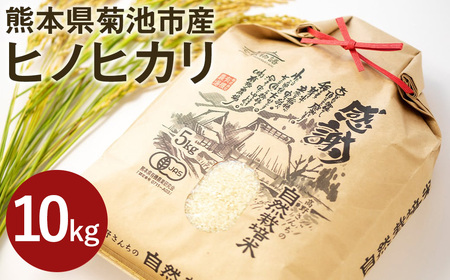【真空パック】令和7年産 熊本県菊池産 ヒノヒカリ 白米 10kg 七城物語 高野さんちの自然栽培米 精米 《30日以内に出荷予定(土日祝除く)》