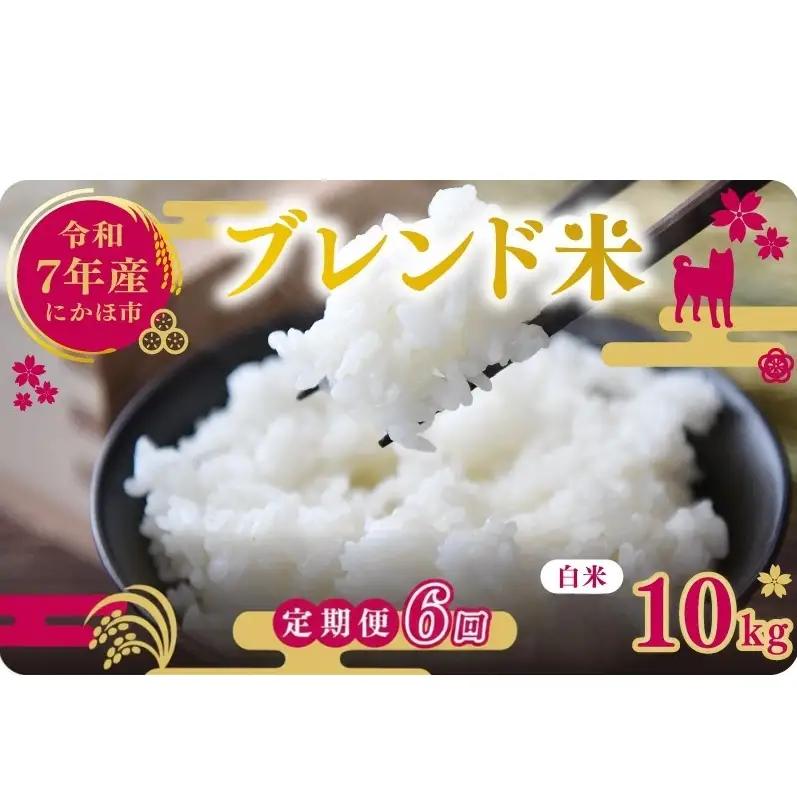 【定期便6か月】白米 ブレンド米 10kg  令和7年度産 白米