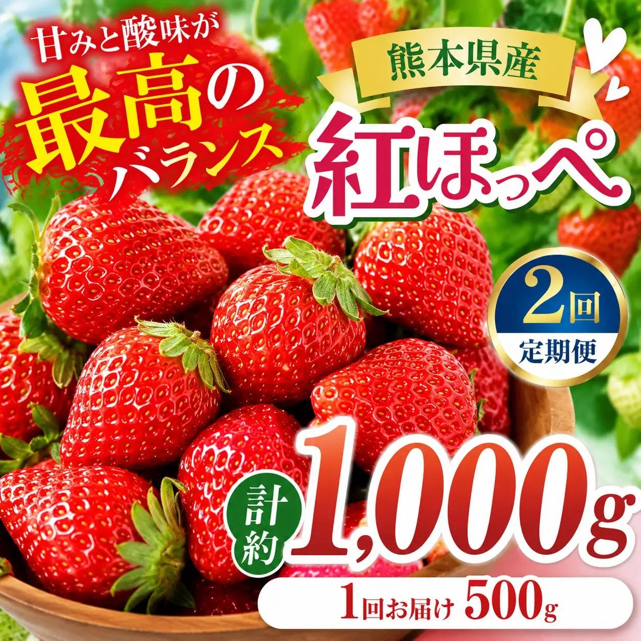 【2回定期便】いちご 紅ほっぺ 約1000g 坂田農園