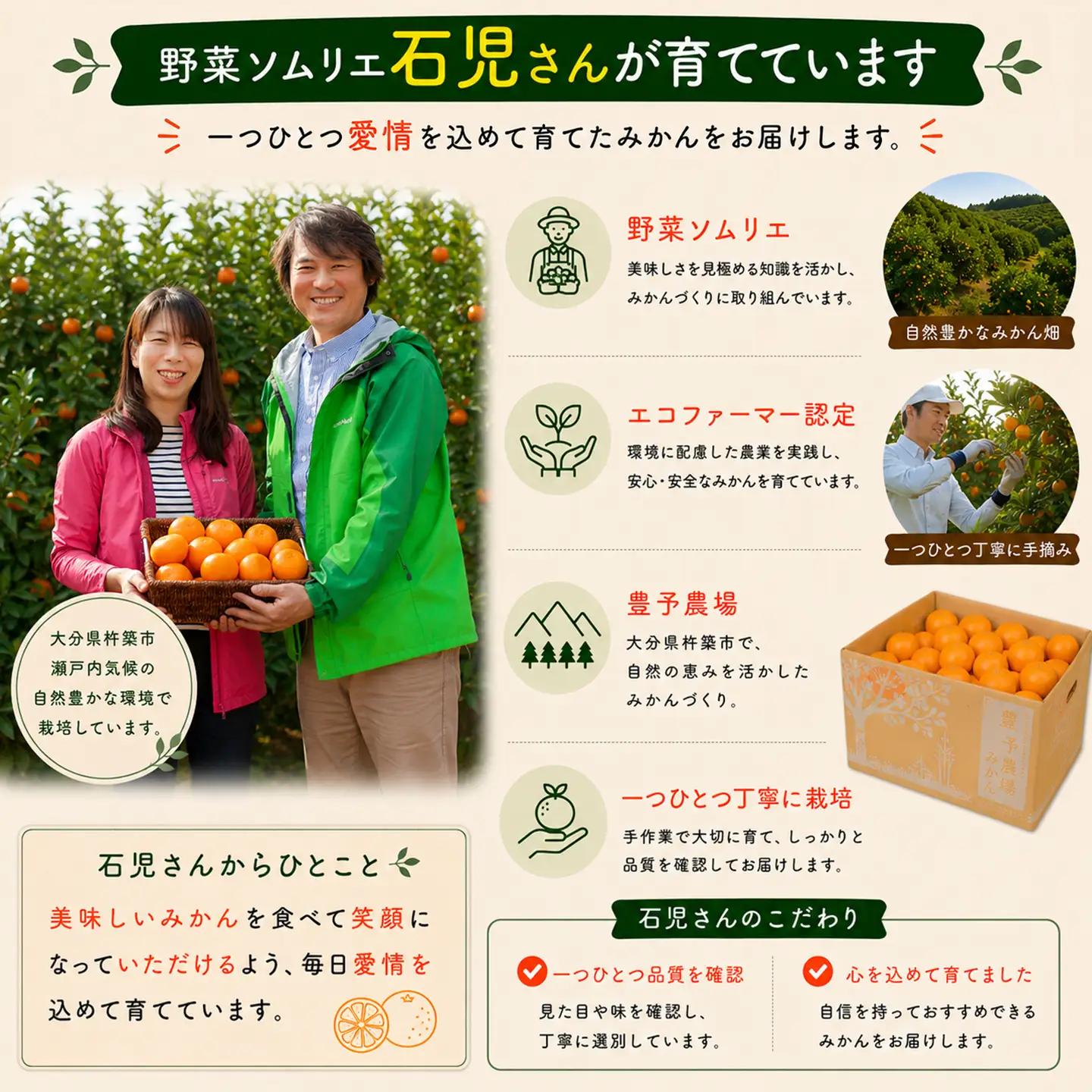 【2027年先行予約】 せとか 特選 5kg 柑橘 先行予約 野菜ソムリエ石児さん 豊予農場  ＜103-016＞