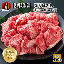 【ふるさと納税】【福井のブランド牛肉】若狭牛切り落とし(モモor肩orバラ) 450g(225g×2パック)【4等級以上】[A-054015]|国産 牛肉 4等級以上 焼肉 黒毛和種 霜降り お取り寄せ おうちごはん 冷凍 225g 2パック 小分け 送料無料