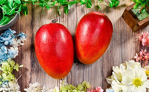 【ANA限定】西都市産完熟マンゴー2玉（900g～1kg）薗田農園 【先行予約】＜1.8-29＞2026年発送 果物 フルーツ くだもの 宮崎県 西都市