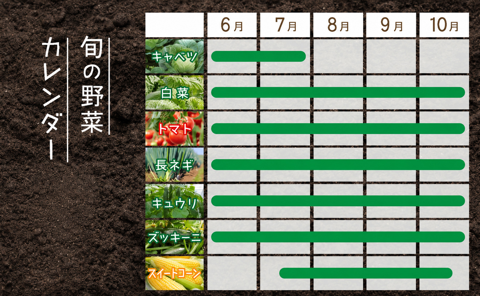 ＜定期便2回＞北海道 伊達市 産直・旬のおまかせ野菜詰合せ 6～8種【dnk-004】