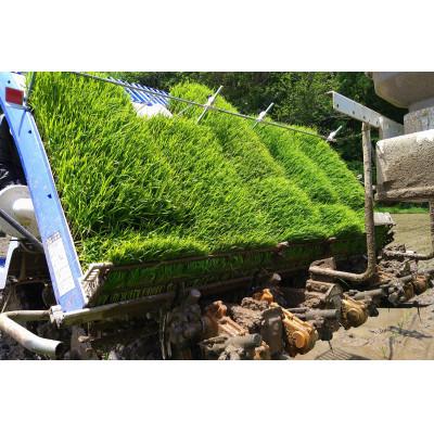 ふるさと納税 浜田市 【毎月定期便】浜田市弥栄町産の美味しいお米「秘境奥島根弥栄」つや姫栽培期間中農薬5割減　5kg全6回 |  | 01