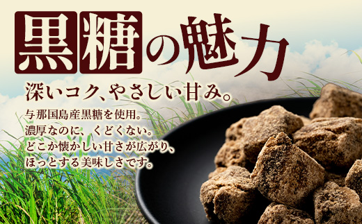 与那国島 塩黒糖（100g）×5袋 A006 ｜ 沖縄県 与那国町 塩 海塩 黒糖 スィーツ