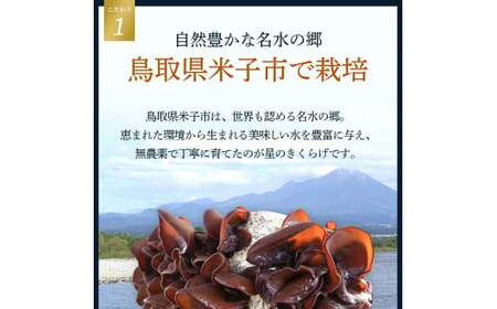 鳥取県産　星のきくらげ【ビタミンDが豊富！】
