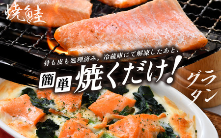 【6ヶ月連続お届け】ふくいサーモン 1kg 真空冷凍 100g× 10パック × 6回【サーモン 鮭 刺身 さけ サケ さかな 魚 人気 海鮮 海鮮食品 小分け お刺身用 生食用 生食可 低脂肪 低カ