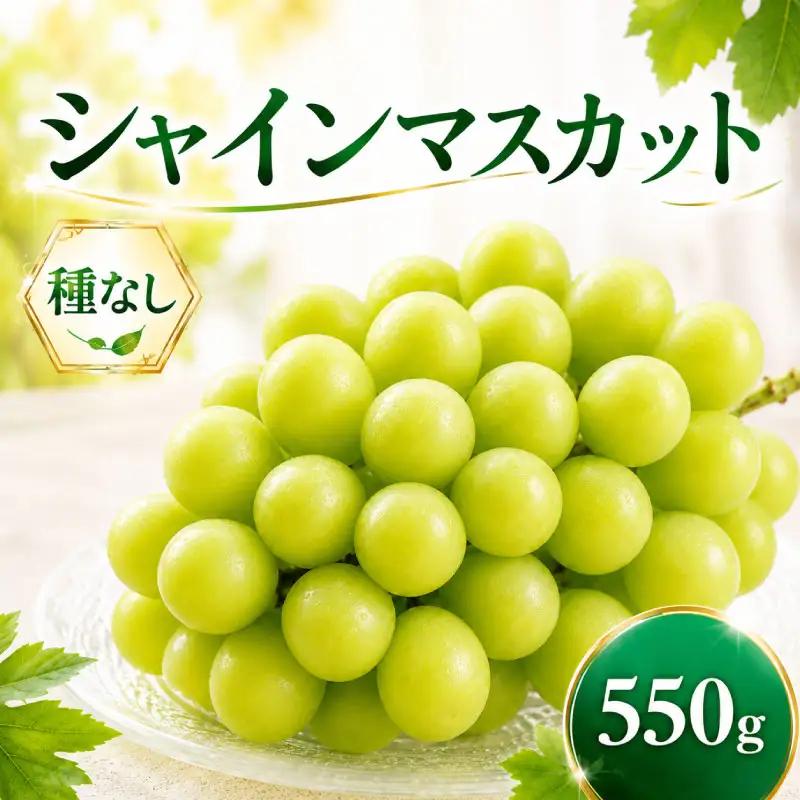 シャインマスカット 種なし 約550g シャインマスカット