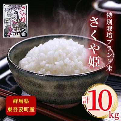 ふるさと納税 東吾妻町 【東吾妻町産】特別栽培ブランド米 さくや姫 10kg(5kg×2袋)[No.5819-0345]