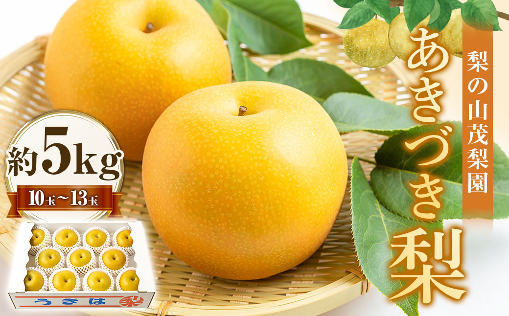 
            【先行予約】 梨の山茂梨園 あきづき梨 10玉から13玉 （約5kg） 【2025年9月上旬から9月中旬 出荷予定】 梨 なし ナシ 秋月 あきづき 果物 くだもの フルーツ 果実 新鮮 フレッシュ ジューシー お取り寄せ 福岡県 うきは市
          