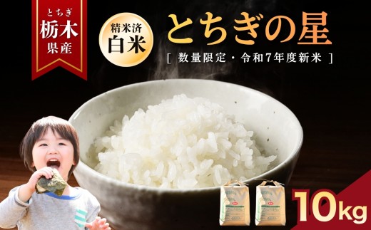 とちぎの星  10kg | お米 米 もち米 ミルキークイーン きぬはなもち とちぎの星 コシヒカリ こしひかり 美味しい お弁当 選べる 定期便 ふるさと 納税 栃木県 矢板市