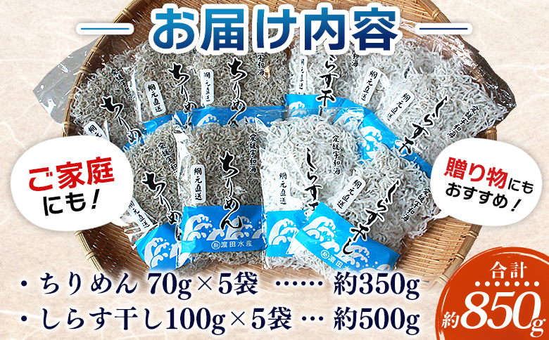 ＜ちりめん＆しらす干し 食べ比べセット 合計850g（ちりめん70g×5袋 しらす干し100g×5袋 ）＞ 西予市産 詰め合わせ チリメン シラス 魚介 海産物 海鮮 家庭用 贈答用 小分け 国産 特