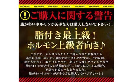 【ホルモン】国産牛 600g 大トロホルモン