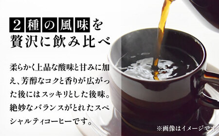 【全12回定期便】キリマンジャロ コーヒー 2種 ( 浅煎り フルーツフレーバー ＆ 中煎り チョコレートフレーバー )[VAS193]珈琲 コーヒー 