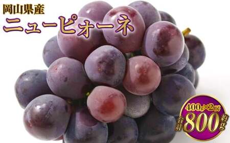 岡山県産 ニューピオーネ 約800g（400g×2房） 【2026年8月下旬～9月下旬迄発送予定】 果物 くだもの フルーツ ぶどう ブドウ 葡萄