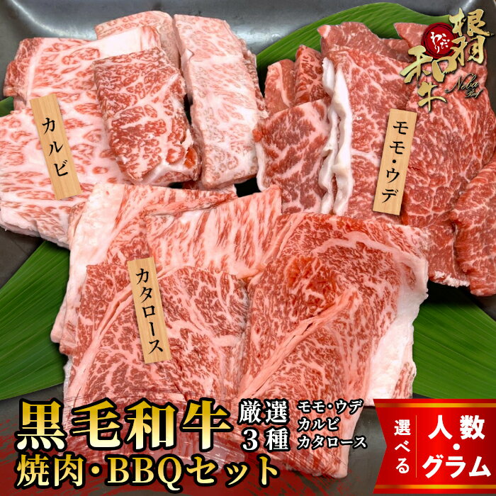 【ふるさと納税】《曜日・時間帯指定可》根羽こだわり和牛 内容量が選べる 黒毛和牛焼肉・BBQセット 450g～1050g 2～3人前キャンプ バラ肉 モモ肉 盛り合わせ 厳選 牛肉 和牛 焼き肉 バーベキュー BBQ キャンプ カルビ カタロース 大人数 国産牛