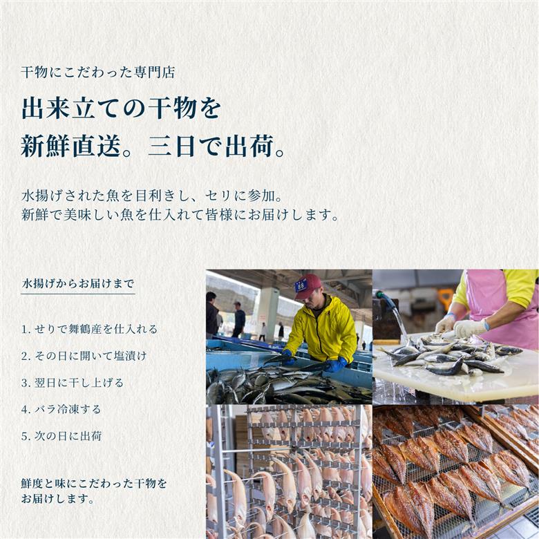 9月以降発送 【訳あり】 干物 約2.8kg 3〜5種類 セット | 塩のみ 詰め合わせ 冷凍 カレイ あじ サバ イサキ トビウオ 鯛 タイ ひもの 不揃い おすすめ お取り寄せ 魚 冷凍 新鮮 海