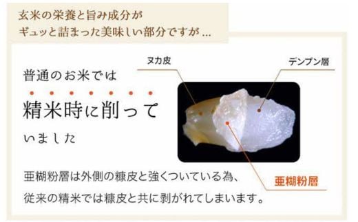 【定期便】BG無洗米・金芽米つや姫 2kg×3回 （隔月）【令和7年産 2ヶ月に1回 配送 計6kg 半年間 6ヶ月 島根県産 健康 節水 時短 アウトドア キャンプ 東洋ライス おすすめ 島根県 安