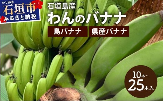 
                  ＜選べる品種＞＜わんのバナナ＞石垣島産バナナ【沖縄県産バナナ/合計約3kg】【島バナナ/合計約1.5kg】NA-06-07
                