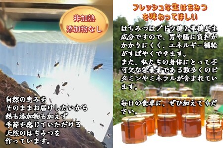 国産純粋生はちみつ ハニービーズコレクション“しろいの季節” 40g お試しサイズ 純粋はちみつ 非加熱 添加物なし 百花蜜 単花蜜 国産はちみつ 生はちみつ100% 美味しい