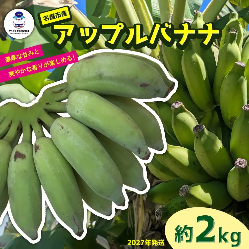 道の駅「許田」が厳選した南国フルーツ アップルバナナ 約2kg 2027年発送 バナナ 2kg やんばる 南国フルーツ トロピカル 国産 グルメ 濃厚 もっちり 完熟 新鮮 産地直送 お取り寄せ 道の駅 許田 特産品 旬のフルーツ 朝食 ギフト