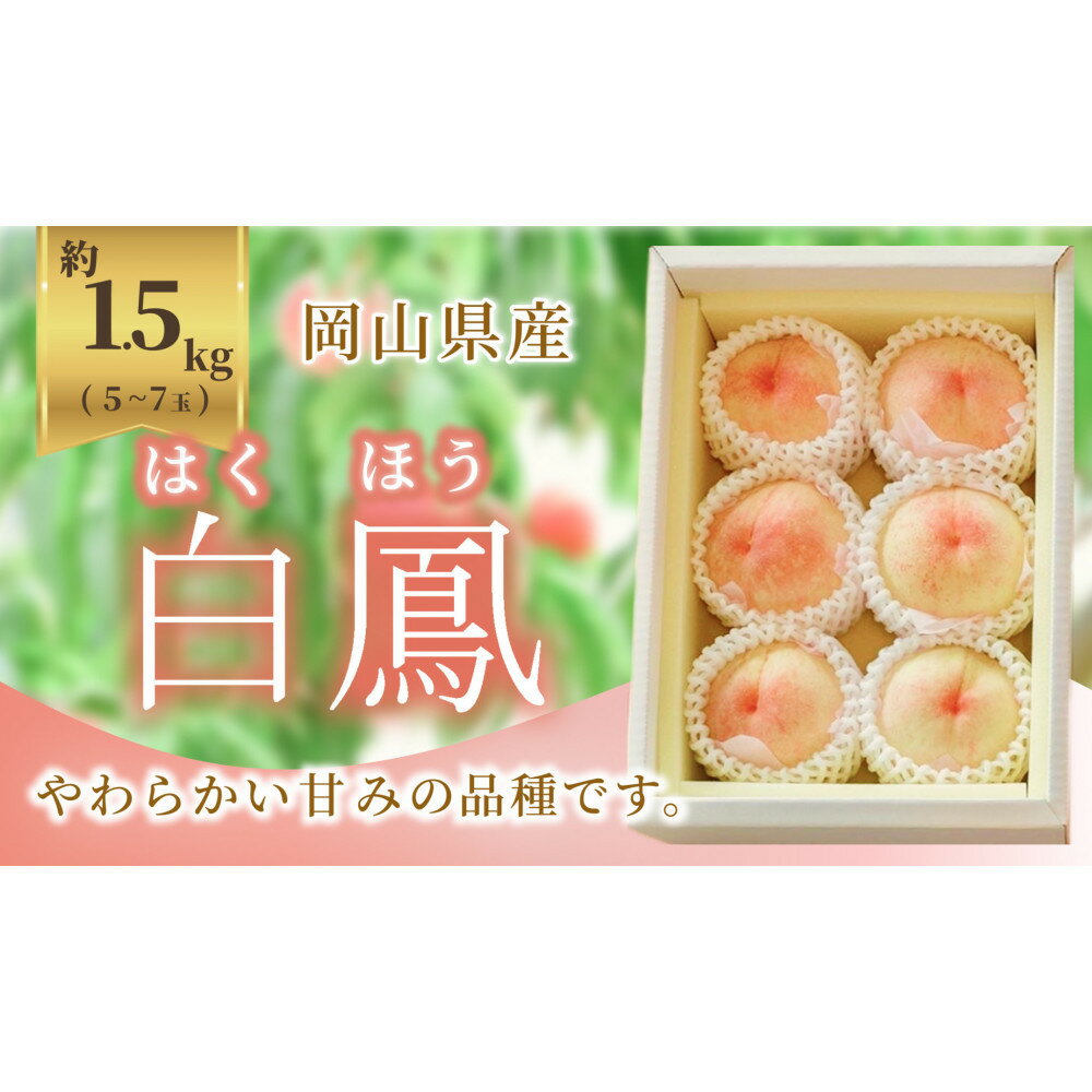 【ふるさと納税】《2026年発送》岡山県産 桃 白鳳 1.5kg 5～7玉 | もも フルーツ 果物 くだもの 食品 人気 おすすめ 送料無料
