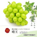 【ふるさと納税】ぶどう 2025年 先行予約 シャインマスカット晴王2房(1房480g以上) 化粧箱入り ブドウ 葡萄 岡山県産 国産 フルーツ 果物 ギフト　倉敷市　お届け：2025年8月下旬～2025年11月中旬