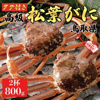 ふるさと納税 琴浦町 【2026年11月発送】特撰 松葉がに(生)【タグ付き】800g2杯 ※足の欠けなし N8_I