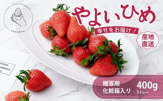 大粒完熟 群馬県産いちご「やよいひめ」400g×1 ｜朝採れ やみつき高品質 たっぷり 贈答用 新鮮 完熟 いちご 旬 苺 ストロベリー 高級 産地直送 果汁 甘い あまい 人気 高評価 高糖度 ごほうび プレゼント ハルノヒ 群馬県 前橋市