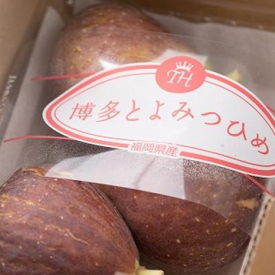 ふるさと納税 福岡市 【先行受付】福岡産ブランドいちじく「とよみつひめ」約300g×4パック(福岡市) |  | 02