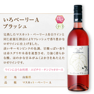 まるき【いろシリーズ】2本 いろ甲州 いろベーリーAブラッシュ（MG）B13-659