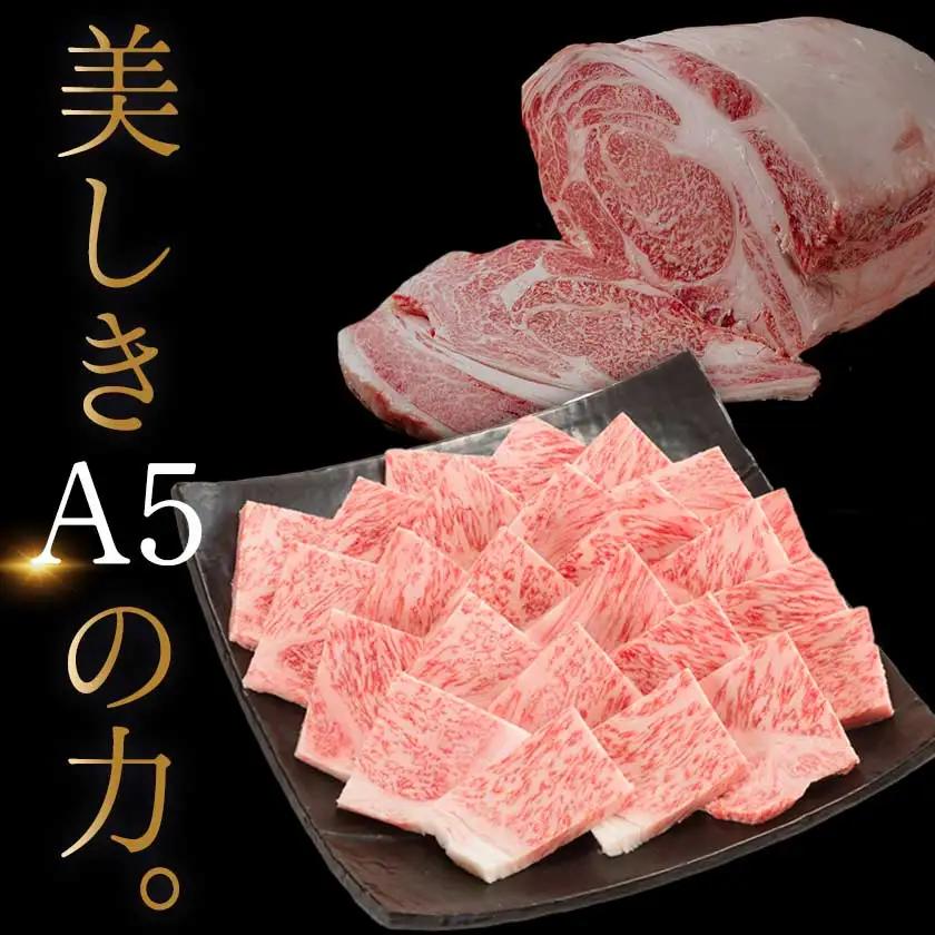 【A5】宮崎牛サーロイン焼肉用500g〔AE-0106〕_(都城市) 最高級A5ランク 宮崎牛サーロイン焼肉用 500g 最高等級5等級 ブランド牛 国産牛肉 国産黒毛和牛 バーベキュー 焼き肉 ガッ