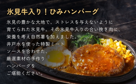 ひみハンバーグと煮干し粉のセット 富山県 氷見市 煮干 惣菜 調味料　ハンバーグ