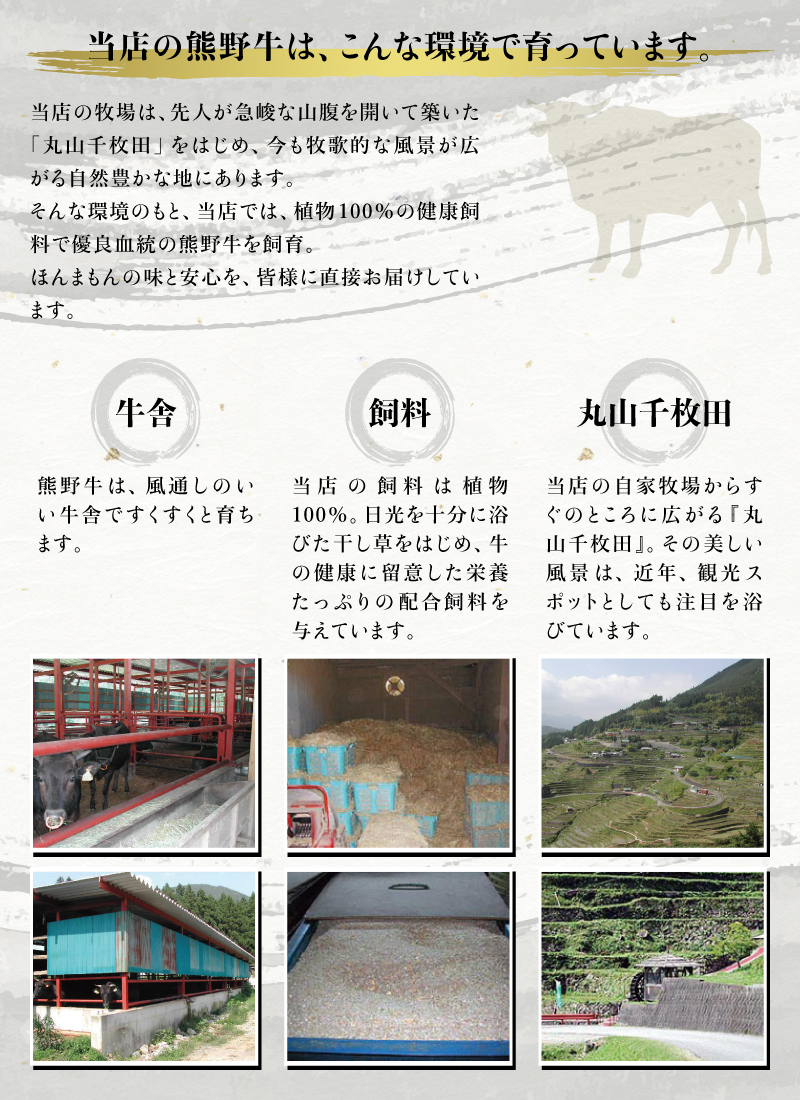 希少和牛 熊野牛 切落し 約500g ＜冷蔵＞ すき焼き しゃぶしゃぶ 牛肉【sim108A】