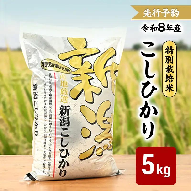 【先行予約】コシヒカリ 特別栽培米 三和区 新米 5kg コシヒカリ