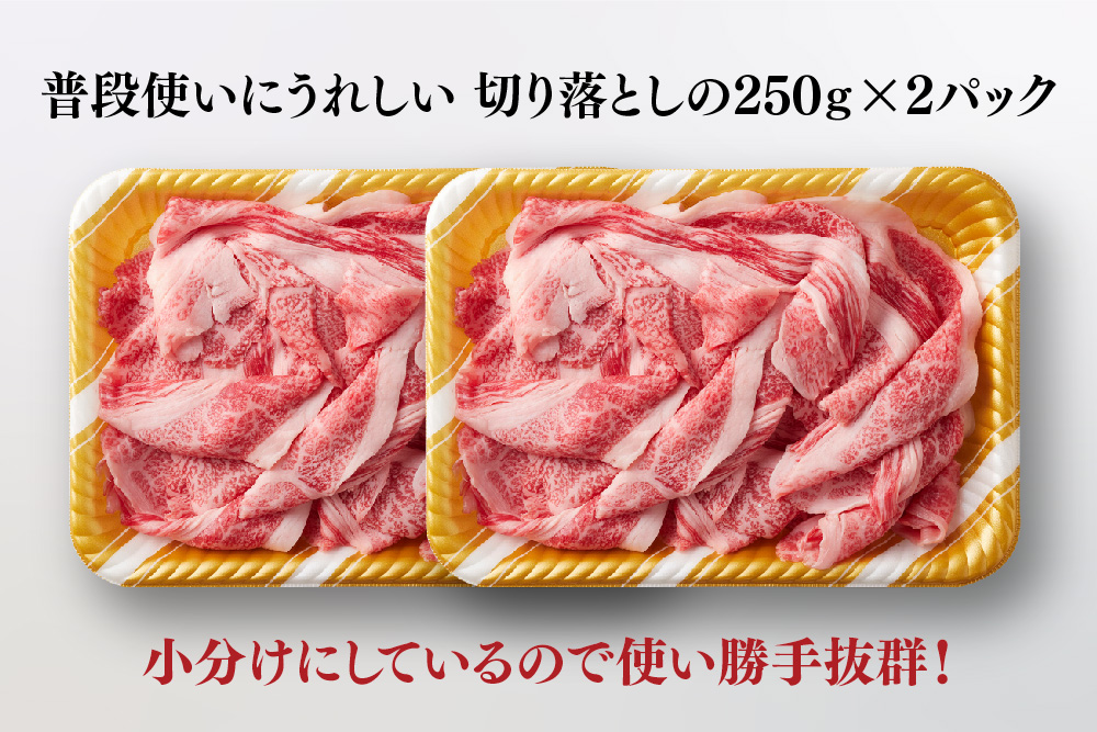 艶さし!【A4～A5】佐賀牛大判霜降り贅沢切り落とし 500g(250g×2P)【佐賀牛 切り落とし 霜降り 肩ロース 大判 一枚肉 薄切り 250g 小分け】(H112340)
