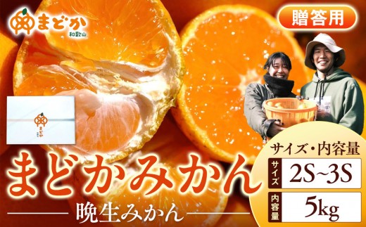 
                  ［先行予約］［贈答用］蔵出しみかん（晩生みかん）2S〜3Sサイズ混合 5kg＋300g（傷み補償分）［2027年1月上旬より発送］
                
