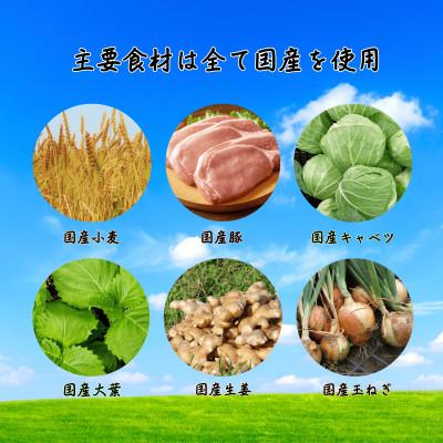 ふるさと納税 草津市 手包み大葉餃子　12個入り |  | 03