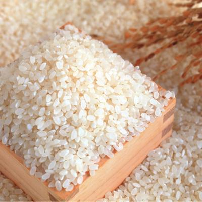 ふるさと納税 三条市 先行受付 [定期便4kg×3か月] 新潟県産 こしひかり 4kg(2kg×2袋) 【030S035】 |  | 01