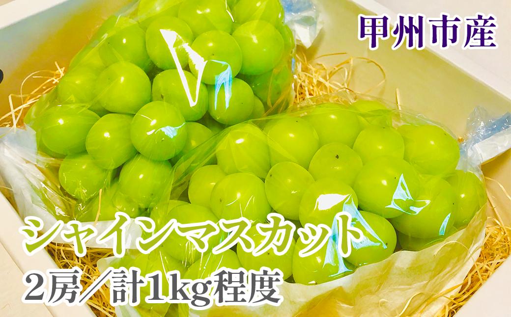 
            【クール配送】甘さと香り際立つ山梨県甲州市産シャインマスカット 2房（約1kg）【2026年発送】（KFT）B-1810 【シャインマスカット 葡萄 ぶどう ブドウ 令和8年発送 期間限定 山梨県産 甲州市 フルーツ 果物】
          