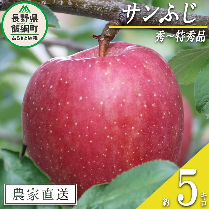 【ふるさと納税】りんご サンふじ 秀〜特秀 5kg ヒライ農園 沖縄県への配送不可 令和7年度収穫分 信州の環境にやさしい農産物認証 減農薬栽培〔 果物 フルーツ リンゴ 林檎 家庭用 信州 長野 予約 農家直送 〕発送期間：2025年12月上旬〜2025年12月中旬