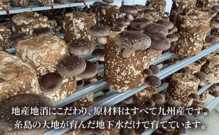 【伊都の誉】乾燥椎茸 各種 詰め合わせ 糸島市 / 伊都福祉サービス協会[APL002] しいたけ シイタケ