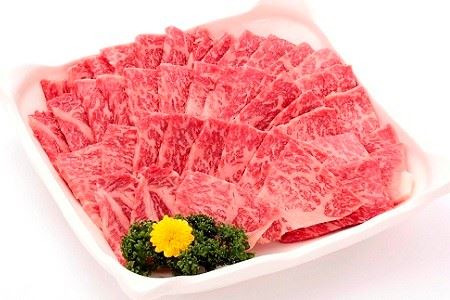 丹波牛 焼肉用 500g 3~4人前 国産和牛 ( 国産牛 焼肉 丹波牛 焼肉 赤身 焼肉 霜降り 焼肉 焼肉500g 焼肉3~4人前 京都 焼肉 京丹波町 焼肉 京丹波 焼肉) [025IZ001]