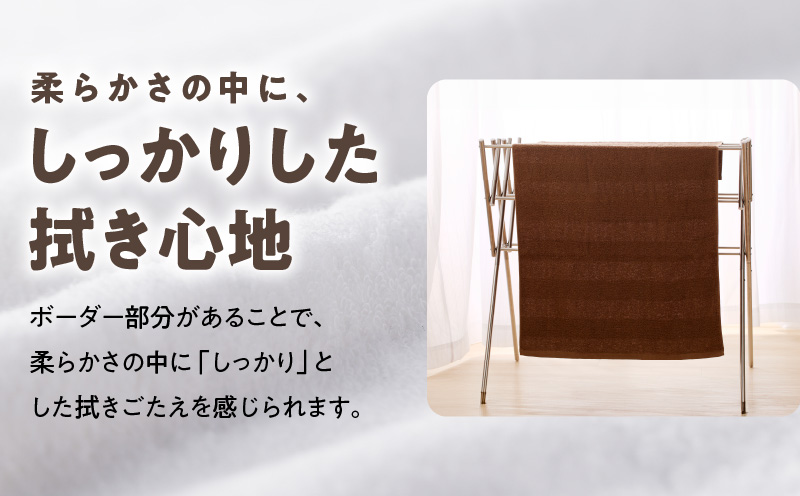 010B664 ナチュレル 泉州バスタオル４枚（ブラウン系）限定セット