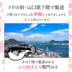 関門 みそ チューブ セット 6袋 ふぐ出汁入り 詰め合わせ IV004-3 みそ みそ みそ みそ みそ