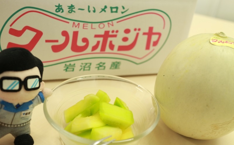 幻のメロン！クールボジャ　約6kg（4～7玉） メロン  