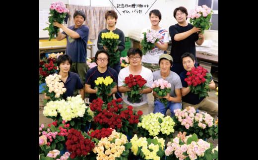 前橋産バラ (お任せ20本)｜ばら バラ 花 プレゼント 贈答 群馬県 前橋市