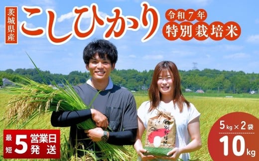 コシヒカリ 龍ケ崎の特別栽培米 10kg(5㎏×2袋)【令和7年度新米】 ❙ こしひかり コシヒカリ お米 米 こめ 白米 精米 新米 特別栽培米 冷めてもおいしい 美味しい こだわり おにぎり 茨城県 龍ケ崎市産